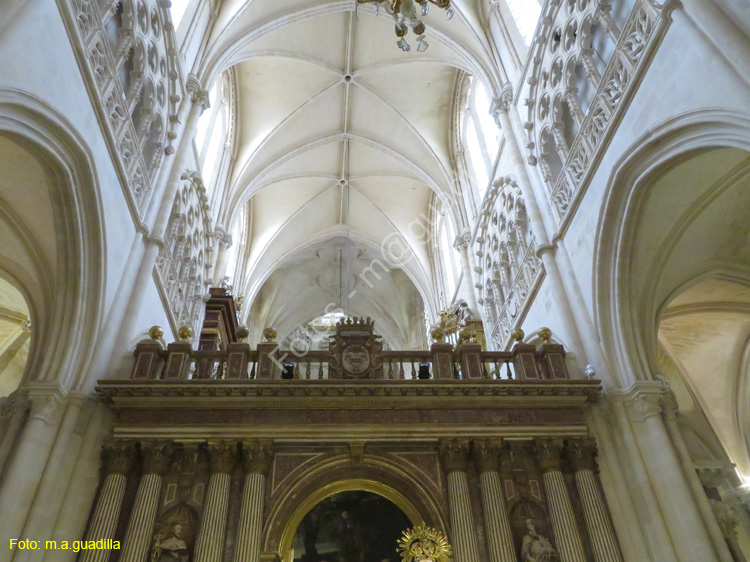 Burgos (351) Catedral