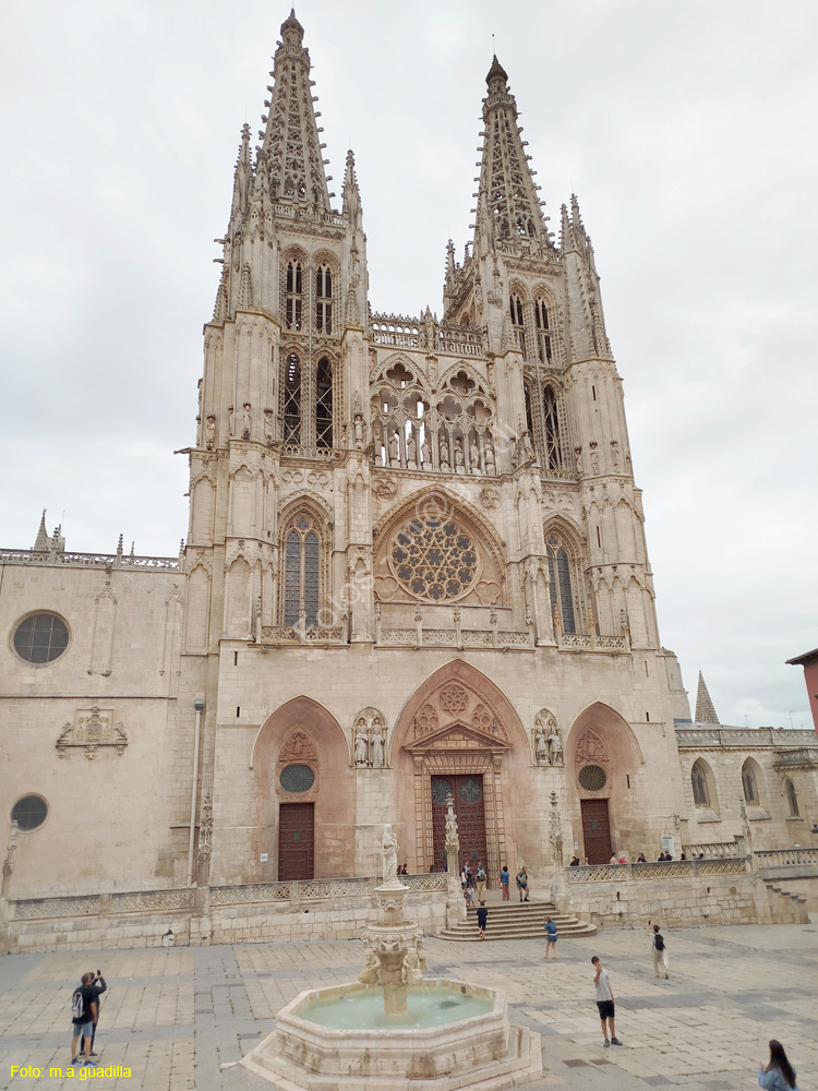 Burgos (357) Catedral