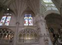 Burgos (211) Catedral