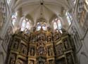 Burgos (226) Catedral