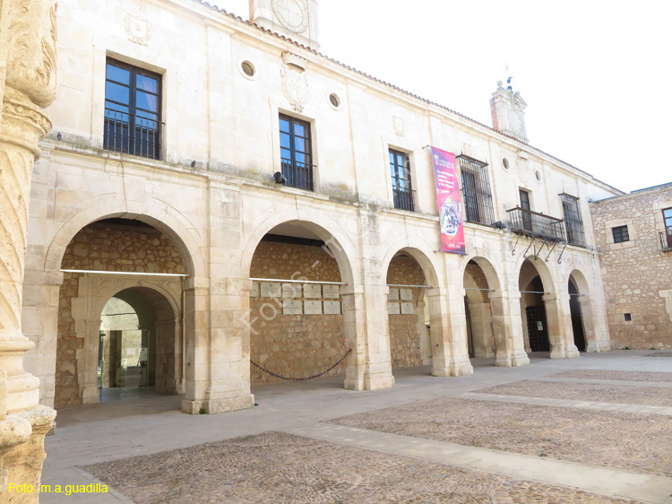 Burgos (128) Hospital del Rey