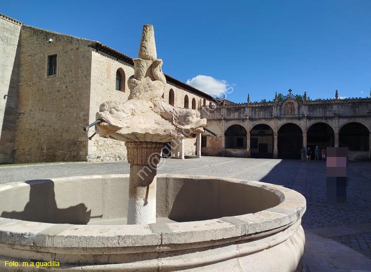 BURGOS (243) Monasterio de las Huelgas