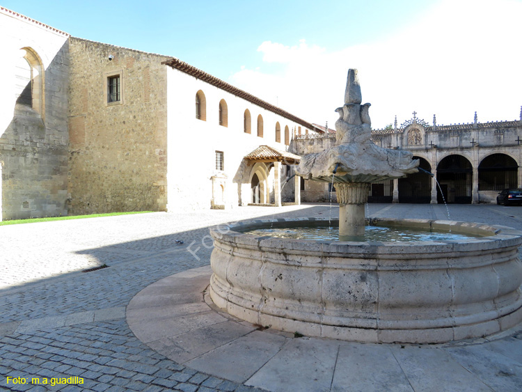 Burgos (109) Monasterio de las Huelgas