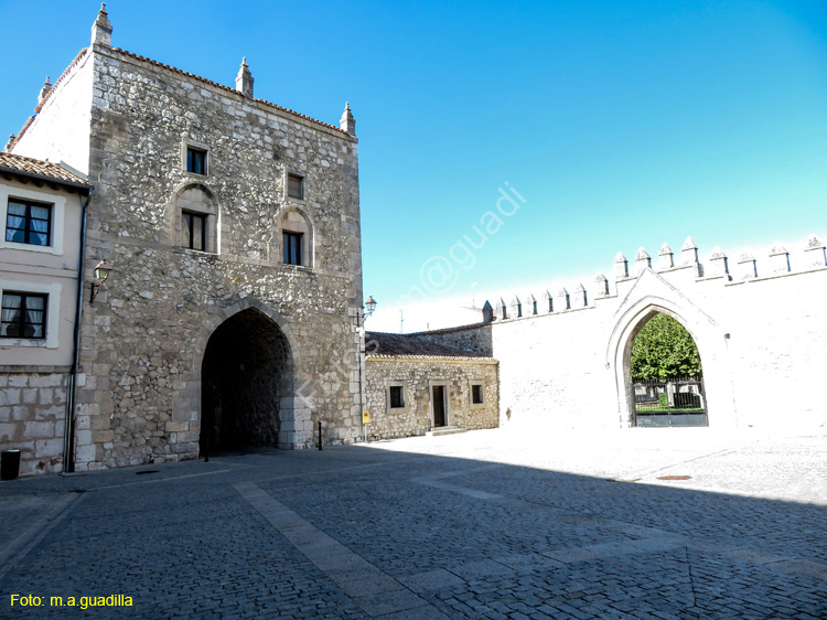 Burgos (111) Monasterio de las Huelgas