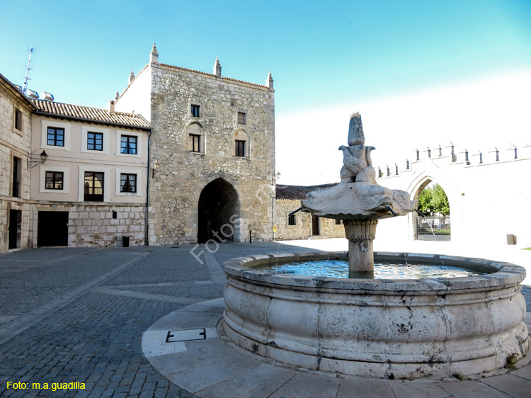 Burgos (122) Monasterio de las Huelgas