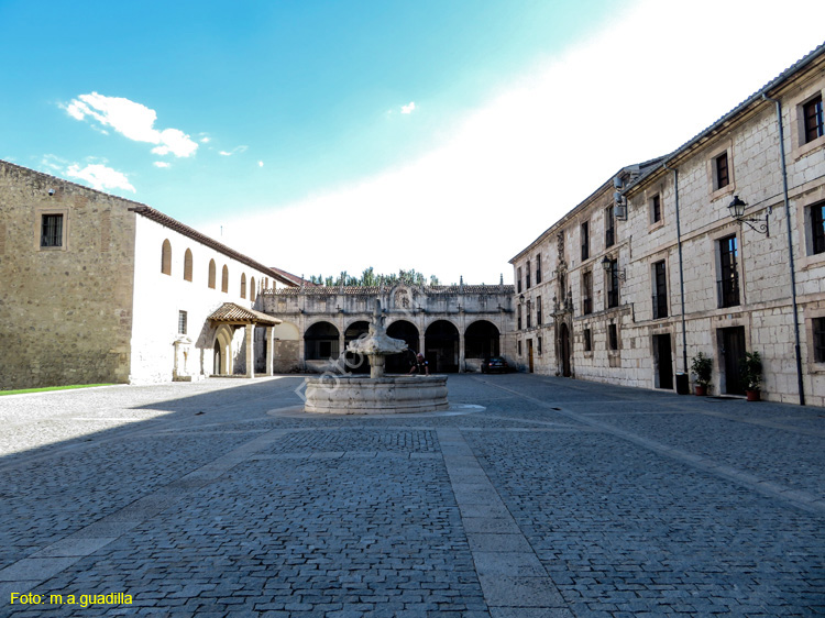 Burgos (124) Monasterio de las Huelgas