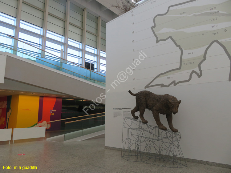 Burgos (110) Museo y Forum de la Evolucion