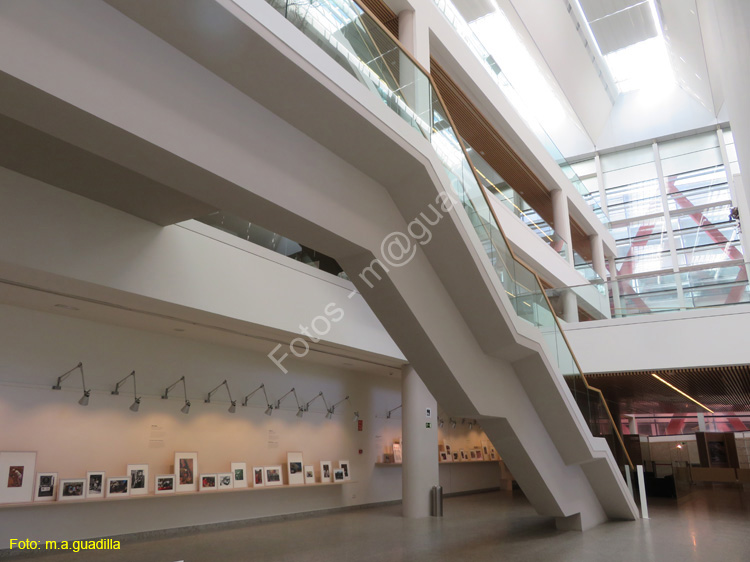 Burgos (111) Museo y Forum de la Evolucion