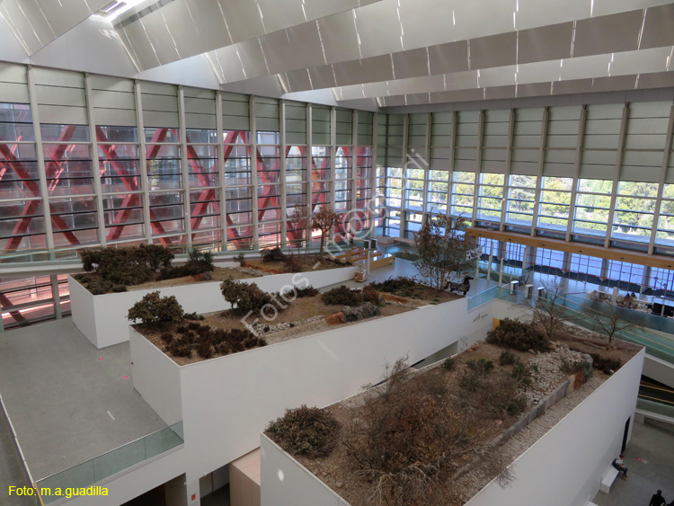 Burgos (123) Museo y Forum de la Evolucion