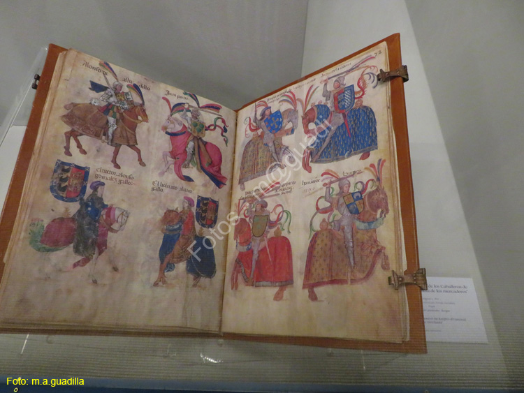 Burgos (124) Museo y Forum de la Evolucion