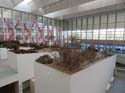 Burgos (122) Museo y Forum de la Evolucion