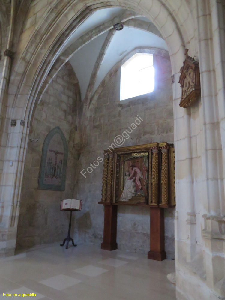 Burgos (110) Monasterio de San Pedro de Cardena
