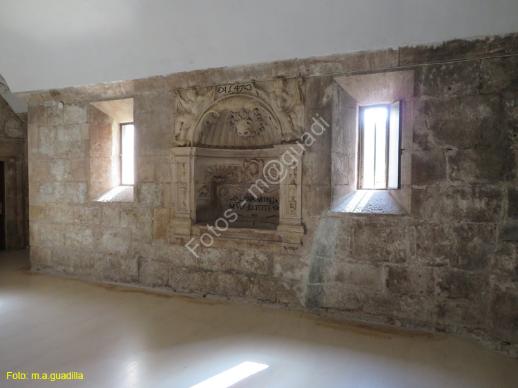 Burgos (138) Monasterio de San Pedro de Cardena