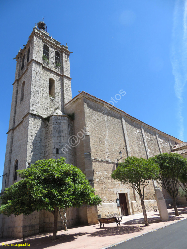 CABEZON DE PISUERGA (146). Iglesia de Ntra Sra de la AsuncionJPG