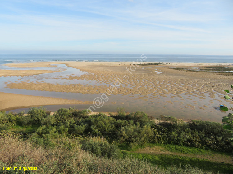 CACELA VELHA (117) Ria Formosa