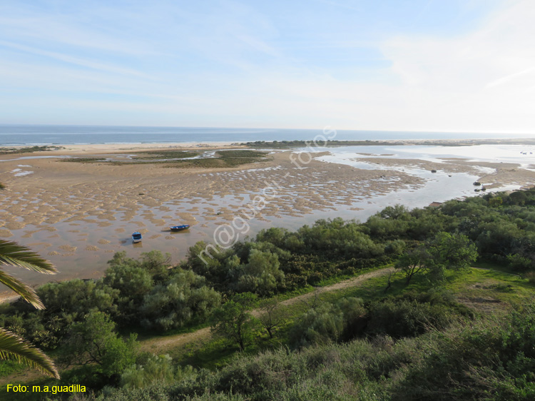 CACELA VELHA (118) Ria Formosa