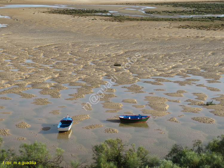 CACELA VELHA (120) Ria Formosa