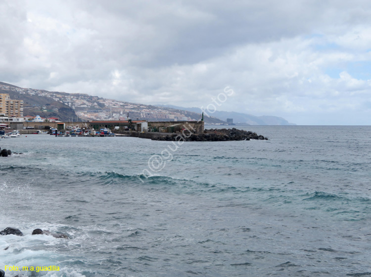 CANDELARIA (101)