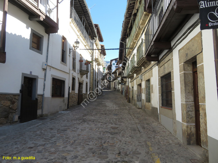 CANDELARIO (108)