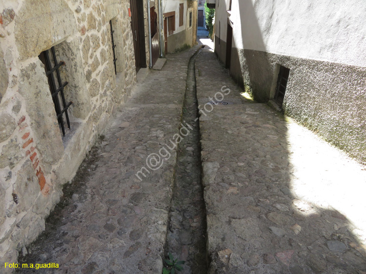 CANDELARIO (112)
