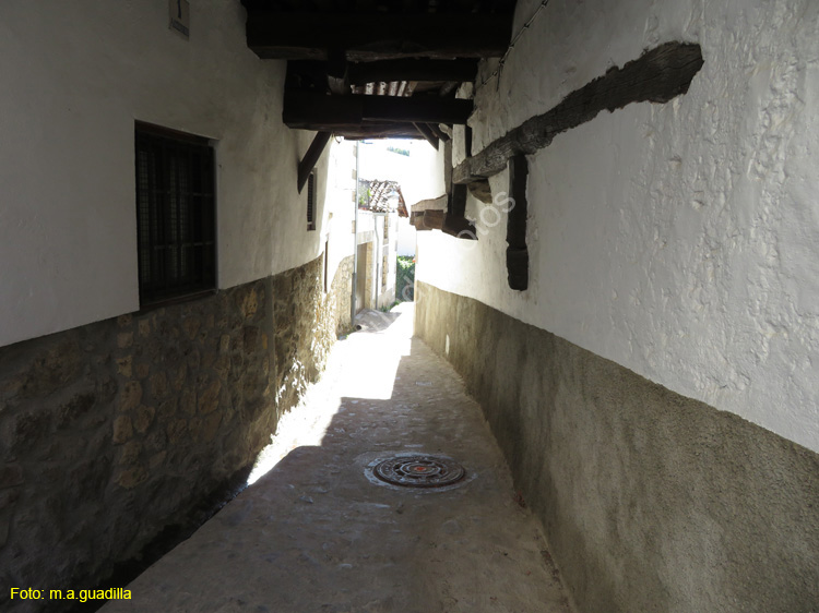 CANDELARIO (113)