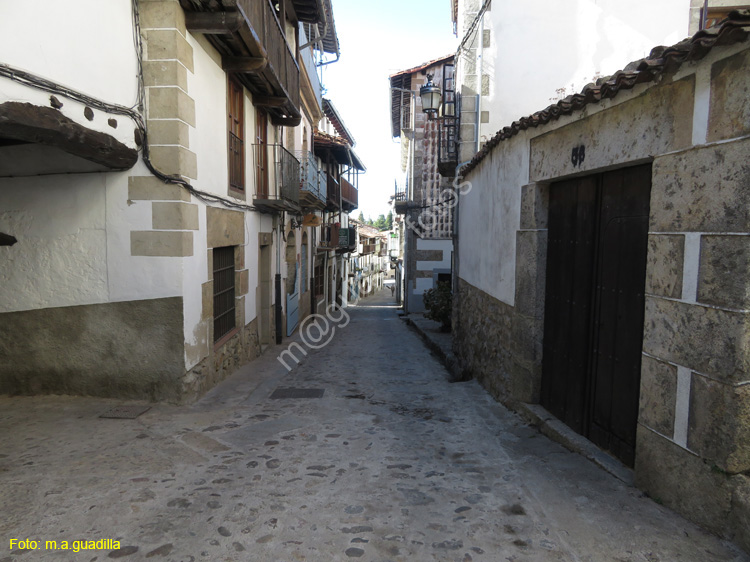 CANDELARIO (116)