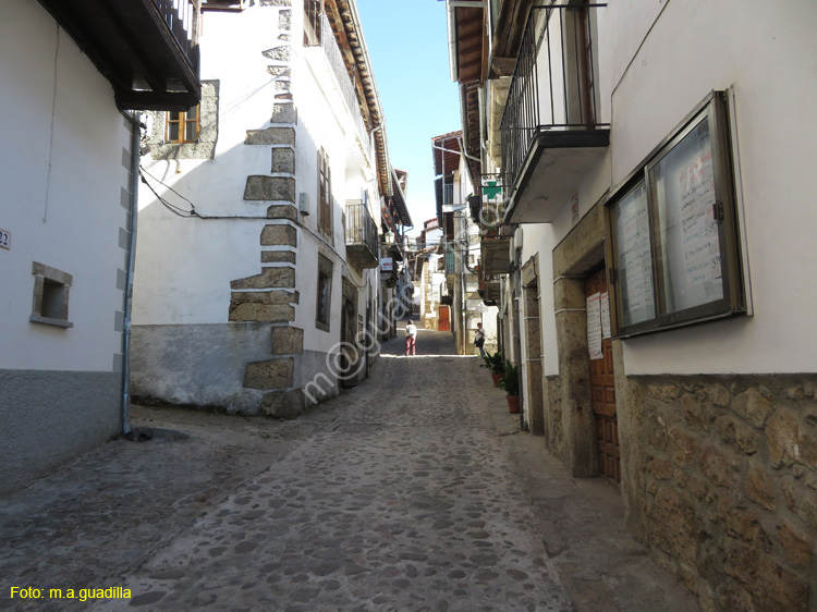 CANDELARIO (119)