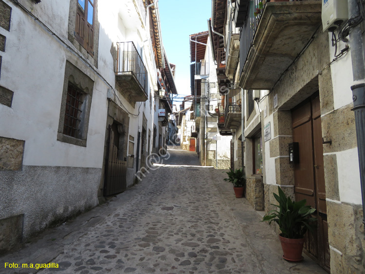 CANDELARIO (120)