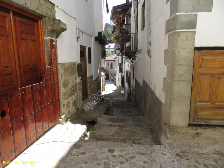 CANDELARIO (122)