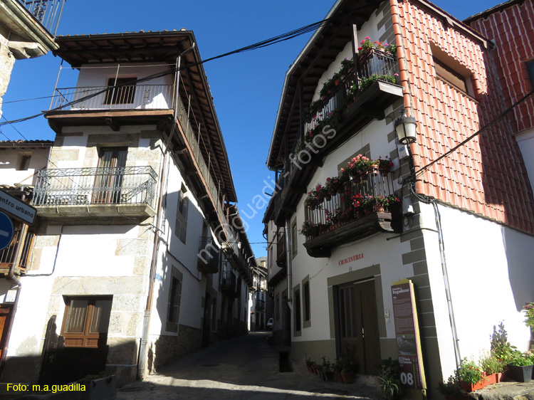 CANDELARIO (156)