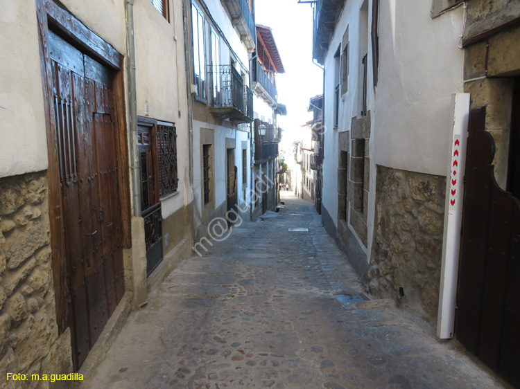 CANDELARIO (163)