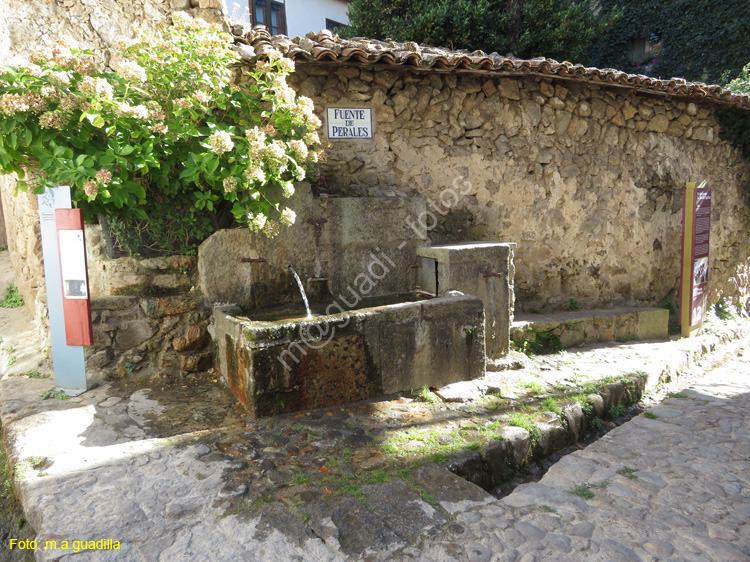 CANDELARIO (164) Fuente de Perales