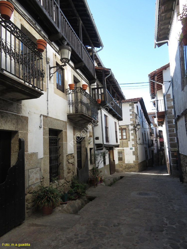 CANDELARIO (165)