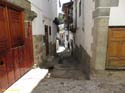 CANDELARIO (122)