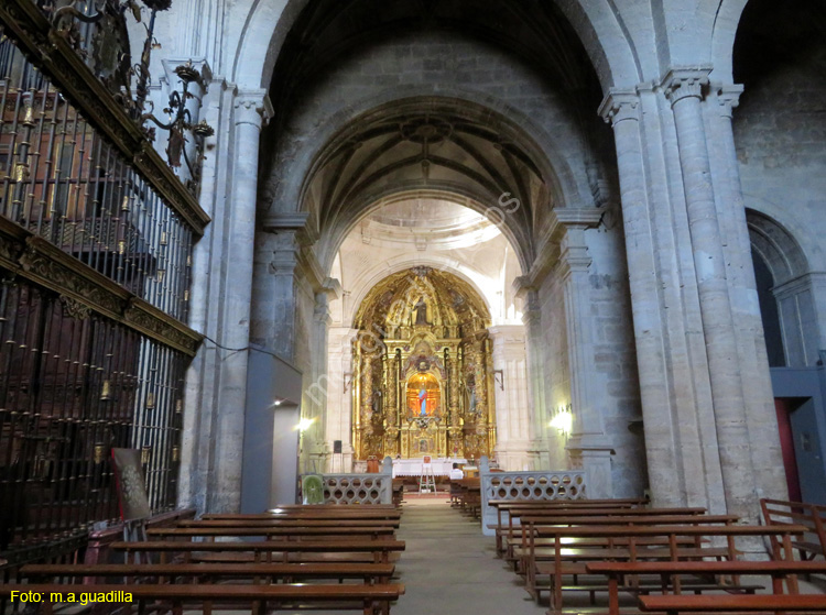 CASTROJERIZ (195) Iglesia Virgen del Manzano