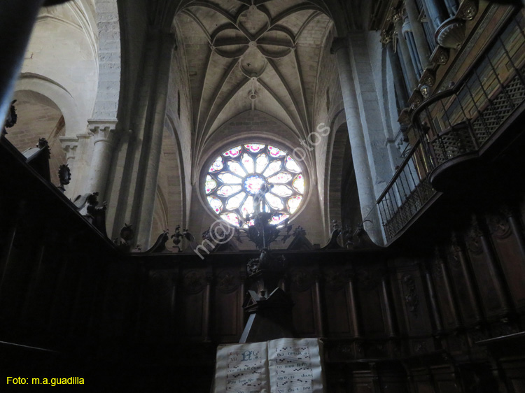 CASTROJERIZ (227) Iglesia Virgen del Manzano