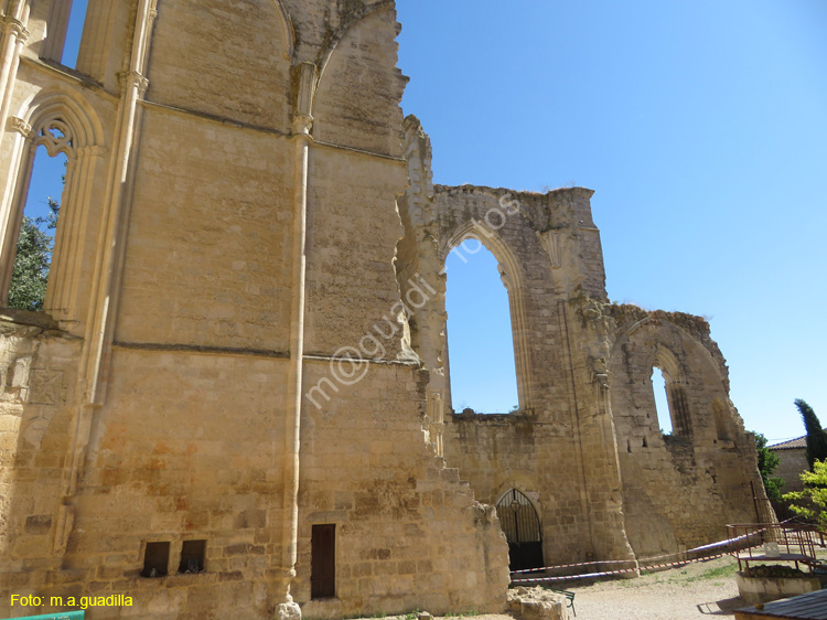 CASTROJERIZ (236) Ruinas de San Anton