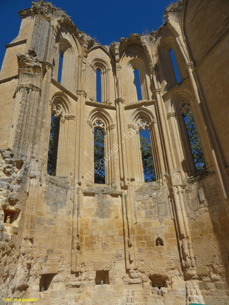 CASTROJERIZ (237) Ruinas de San Anton