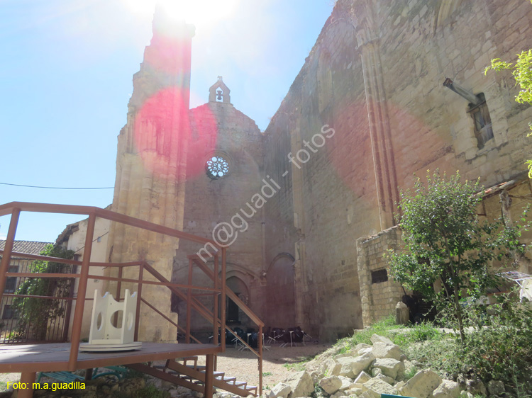 CASTROJERIZ (238) Ruinas de San Anton