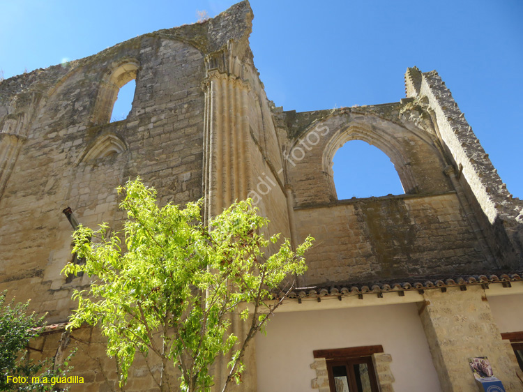 CASTROJERIZ (239) Ruinas de San Anton