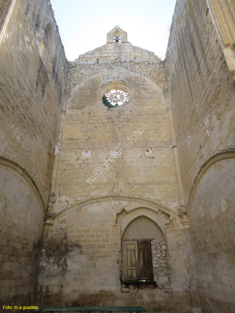 CASTROJERIZ (242) Ruinas de San Anton