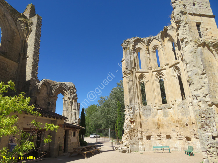 CASTROJERIZ (244) Ruinas de San Anton