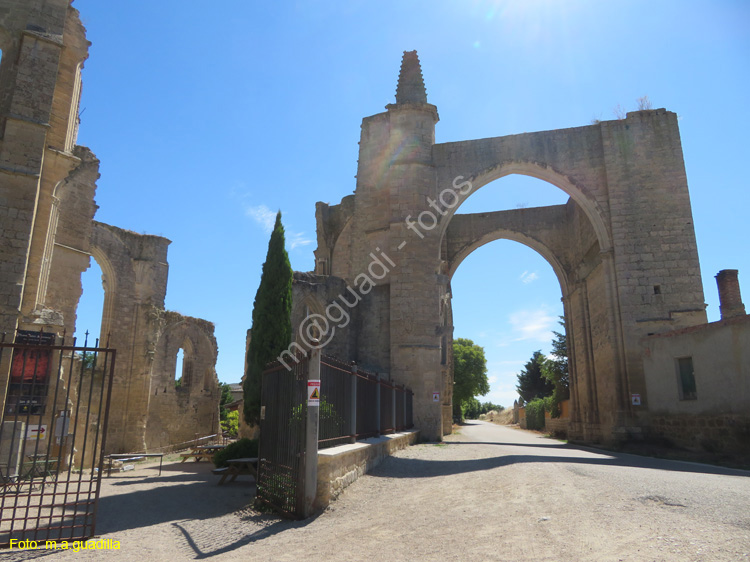 CASTROJERIZ (245) Ruinas de San Anton