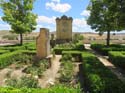 CASTROJERIZ (159) Monumento al Fuero