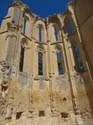 CASTROJERIZ (237) Ruinas de San Anton