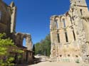 CASTROJERIZ (244) Ruinas de San Anton