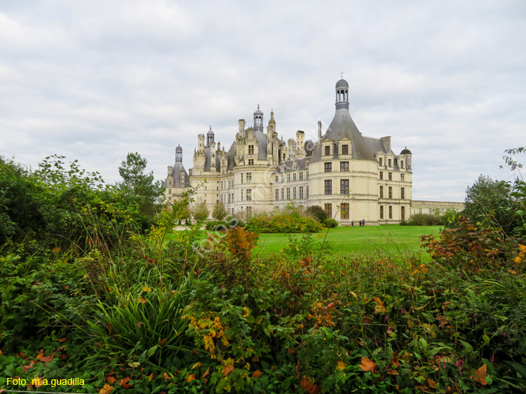 CHAMBORD (101) Castillo