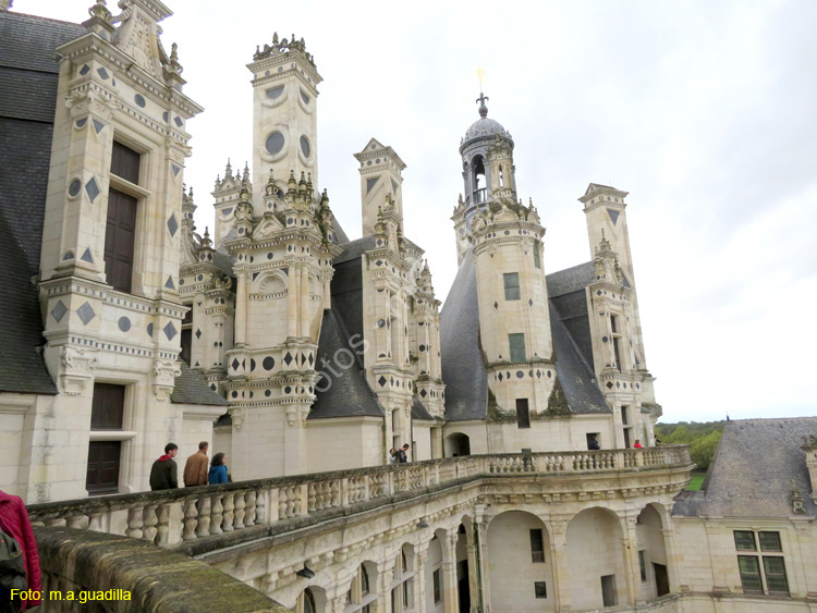 CHAMBORD (152) Castillo