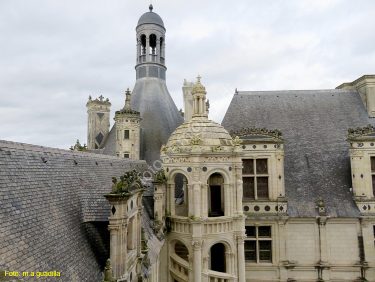 CHAMBORD (155) Castillo