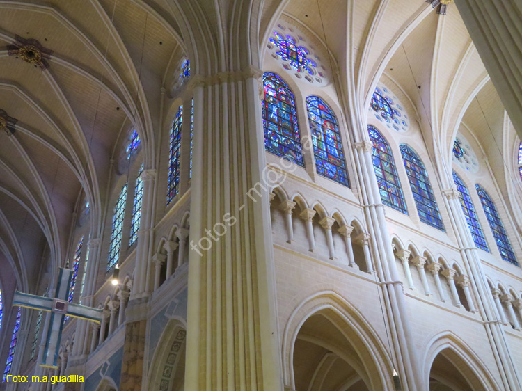 CHARTRES (144) Catedral de Notre-Dame